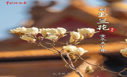 春分，共赴一場(chǎng)春日花事！
