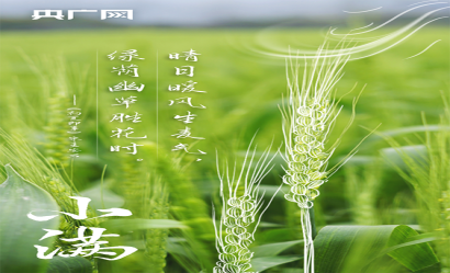 小滿｜人生最好是小滿，在詩詞中領(lǐng)略最美初夏！?